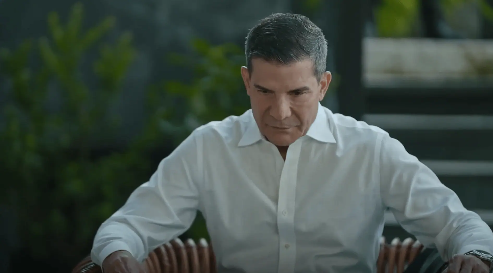 Lavender Fields: 1×44