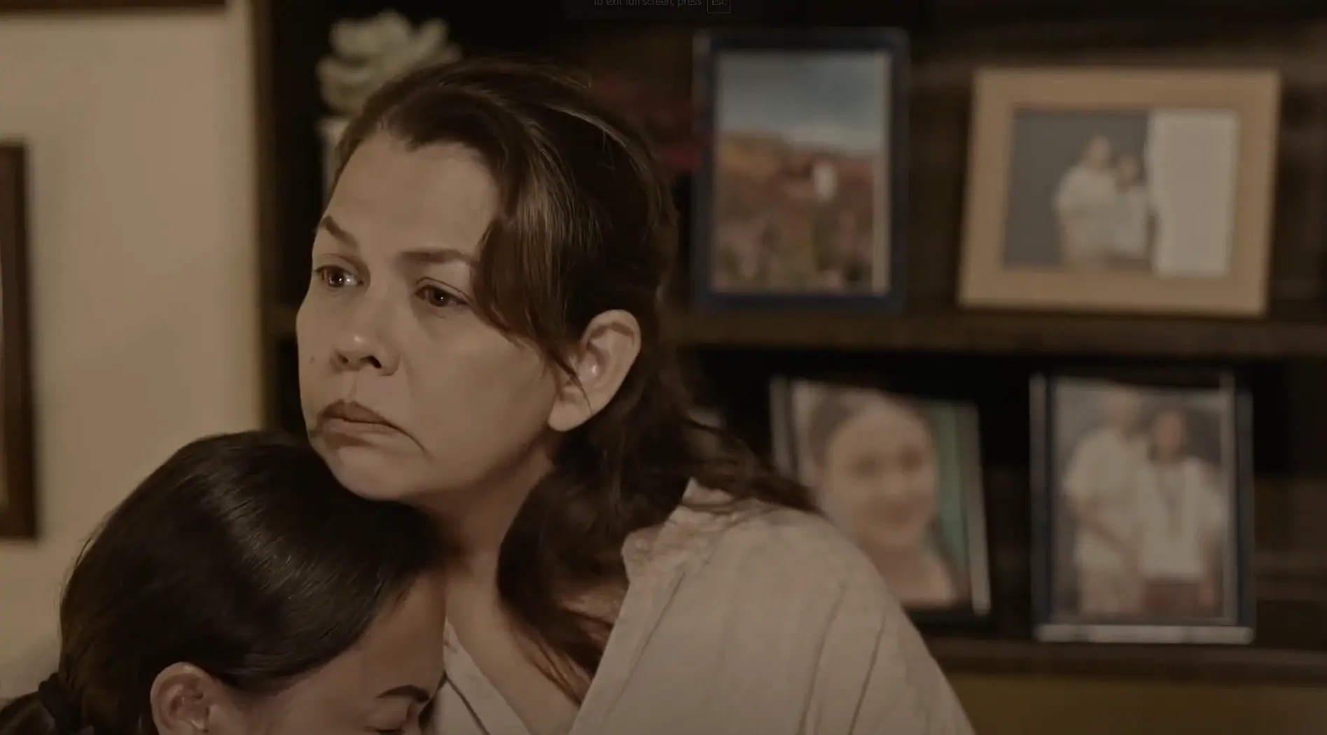 Lavender Fields: 1×48