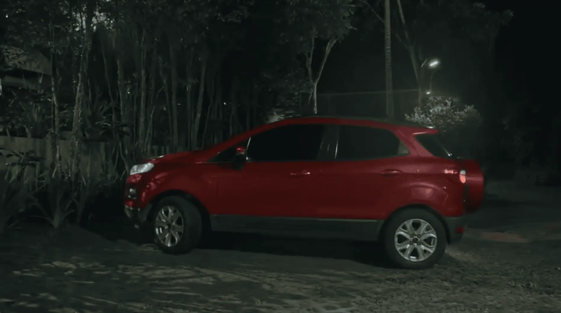 Lavender Fields: 1×58