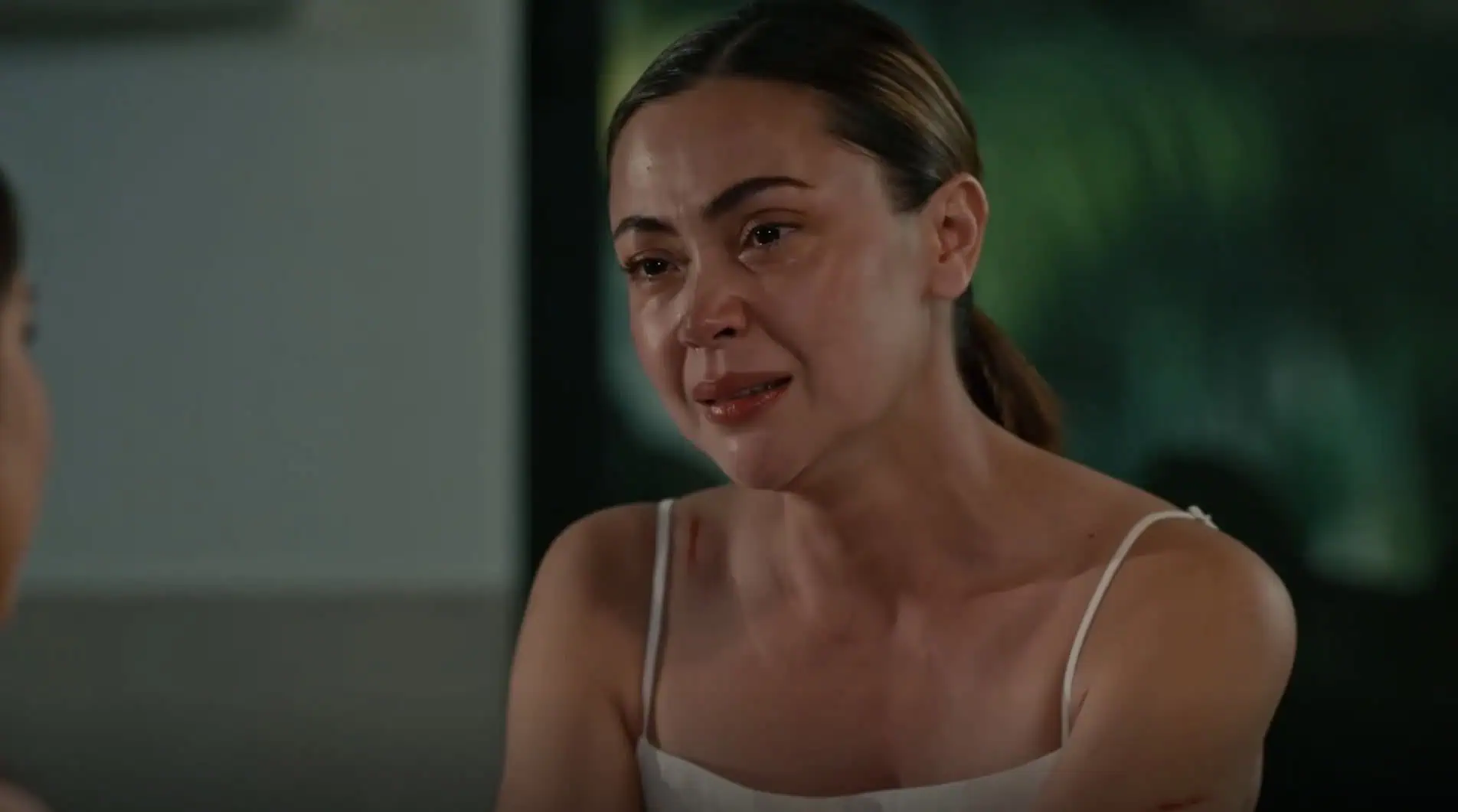 Lavender Fields: 1×79