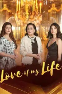 Love of My Life: Season 1